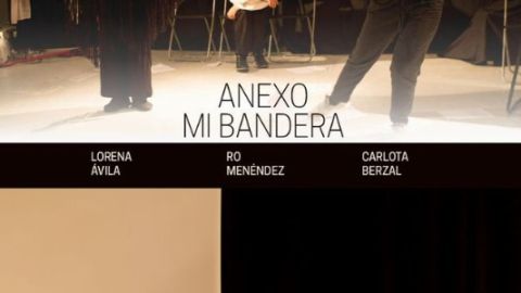 Anexo a mi bandera