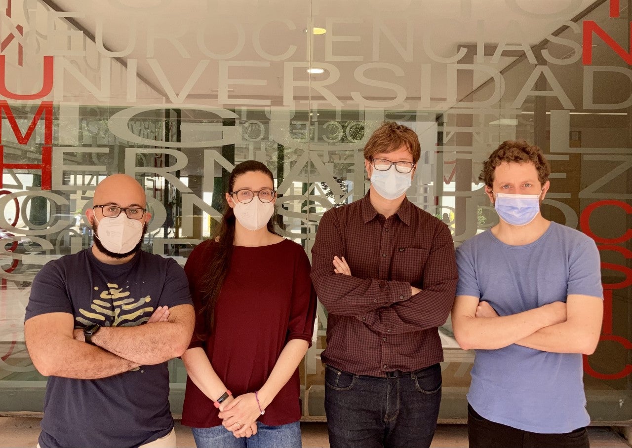 Científicos del Instituto de Neurociencias de la UMH de Elche avalan el uso de ratones en investigaciones de enfermedades neurodegenerativas Científicos del Instituto de Neurociencias de la UMH de Elche avalan el uso de ratones en investigaciones de enfermedades neurodegenerativas