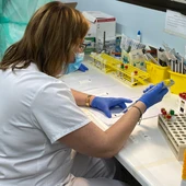 Pruebas PCR Pruebas PCR