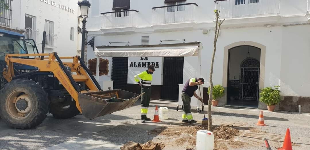 El Ayuntamiento de Rota culmina la campaña de plantación de especies en la ciudad El Ayuntamiento de Rota culmina la campaña de plantación de especies en la ciudad