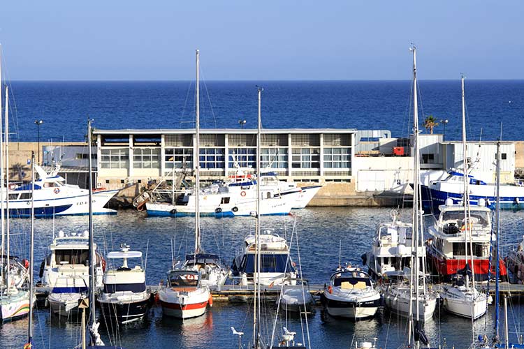 La Vila Joiosa pedirá a la Unión Europea que rectifique con las limitaciones de horario a la pesca La Vila Joiosa pedirá a la Unión Europea que rectifique con las limitaciones de horario a la pesca