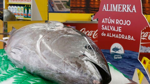 At&uacute;n Rojo de Almadraba en Alimerka