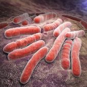 Bacterias infecciosas de tuberculosis