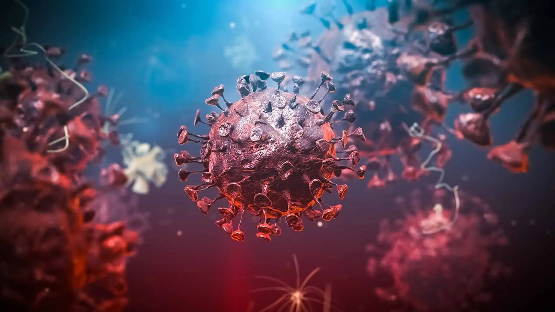 El proceso de vacunación frena la expansión del coronavirus