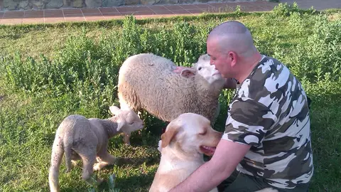 Pedro Cardeñosa Pedro Cardeñosa