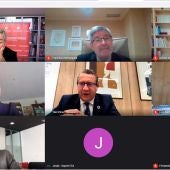 webinar alcalde benidorm
