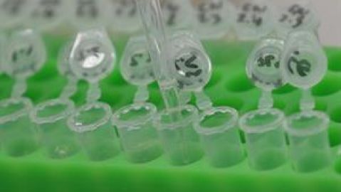 Informativo de tarde 11/05/2021