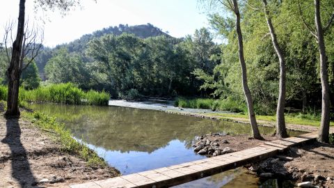 R&iacute;o Henares a su paso por Alcal&aacute; de Henares