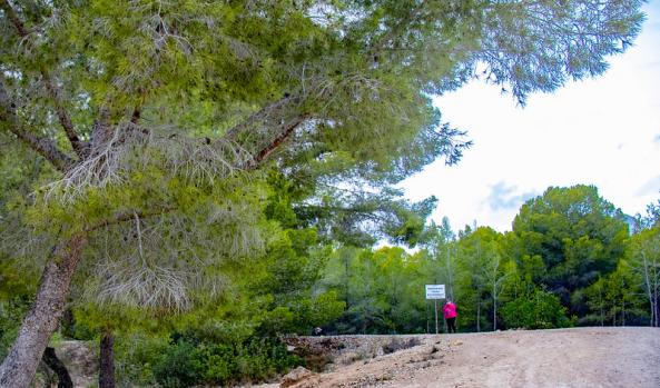 Benidorm aprueba los proyectos de El Moralet, Colonia Madrid y Els Tolls Benidorm aprueba los proyectos de El Moralet, Colonia Madrid y Els Tolls