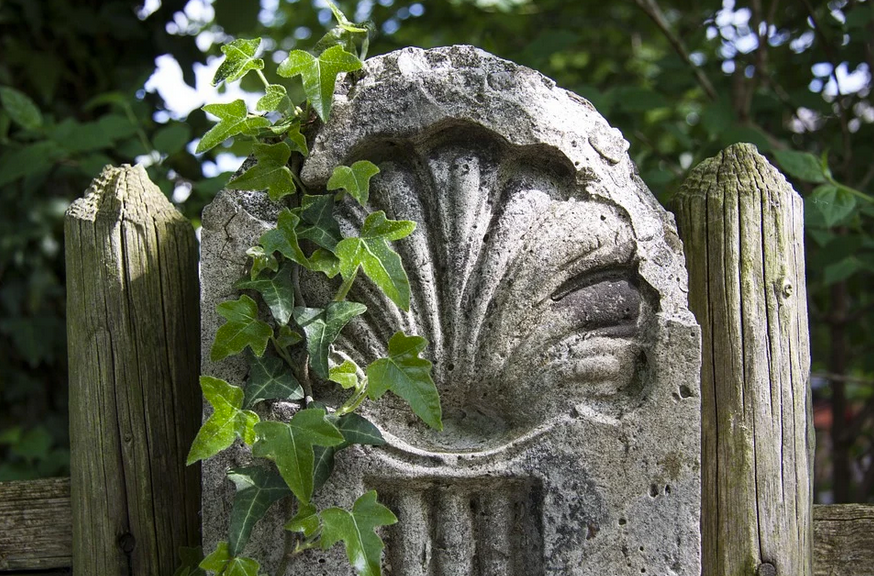 Consejos eco para el Camino de Santiago Consejos eco para el Camino de Santiago