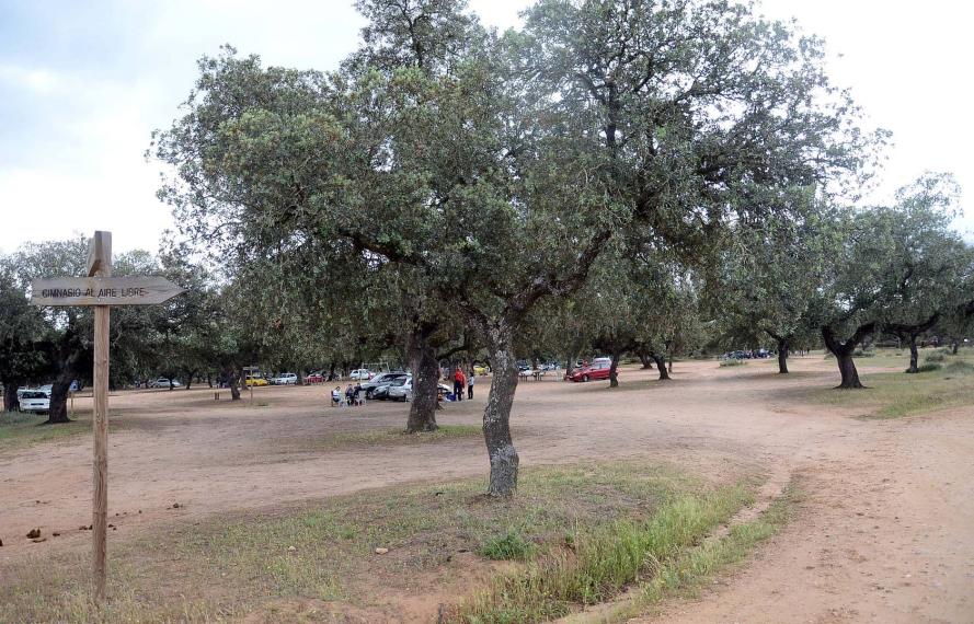 Un dispositivo velará el cumplimiento de las medidas sanitarias de cara a la celebración de San Isidro Un dispositivo velará el cumplimiento de las medidas sanitarias de cara a la celebración de San Isidro