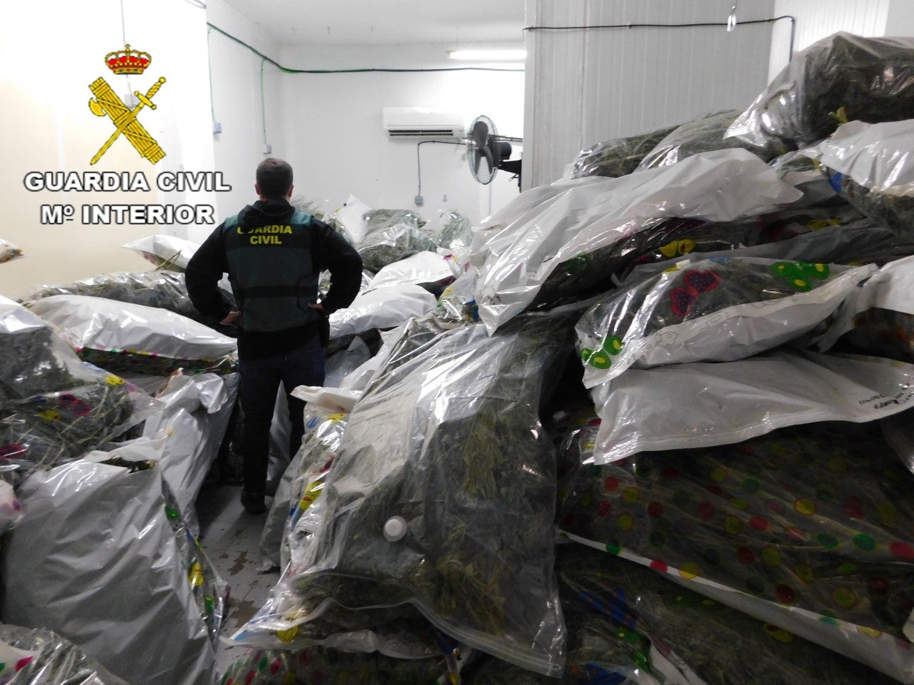 La Guardia Civil de Teruel investiga a cinco personas más en la segunda fase de la Operación KENEVIR La Guardia Civil de Teruel investiga a cinco personas más en la segunda fase de la Operación KENEVIR