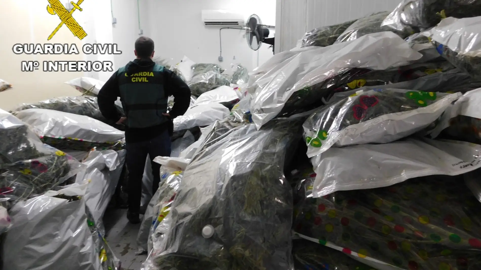 El edificio registrado tenía capacidad para almacenar 10.000 kilos de marihuana