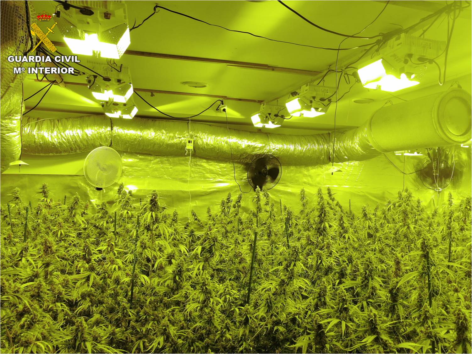 Trasladados a Estremera los 4 policías nacionales detenidos en una operación contra el Narcotráfico en Mérida Trasladados a Estremera los 4 policías nacionales detenidos en una operación contra el Narcotráfico en Mérida