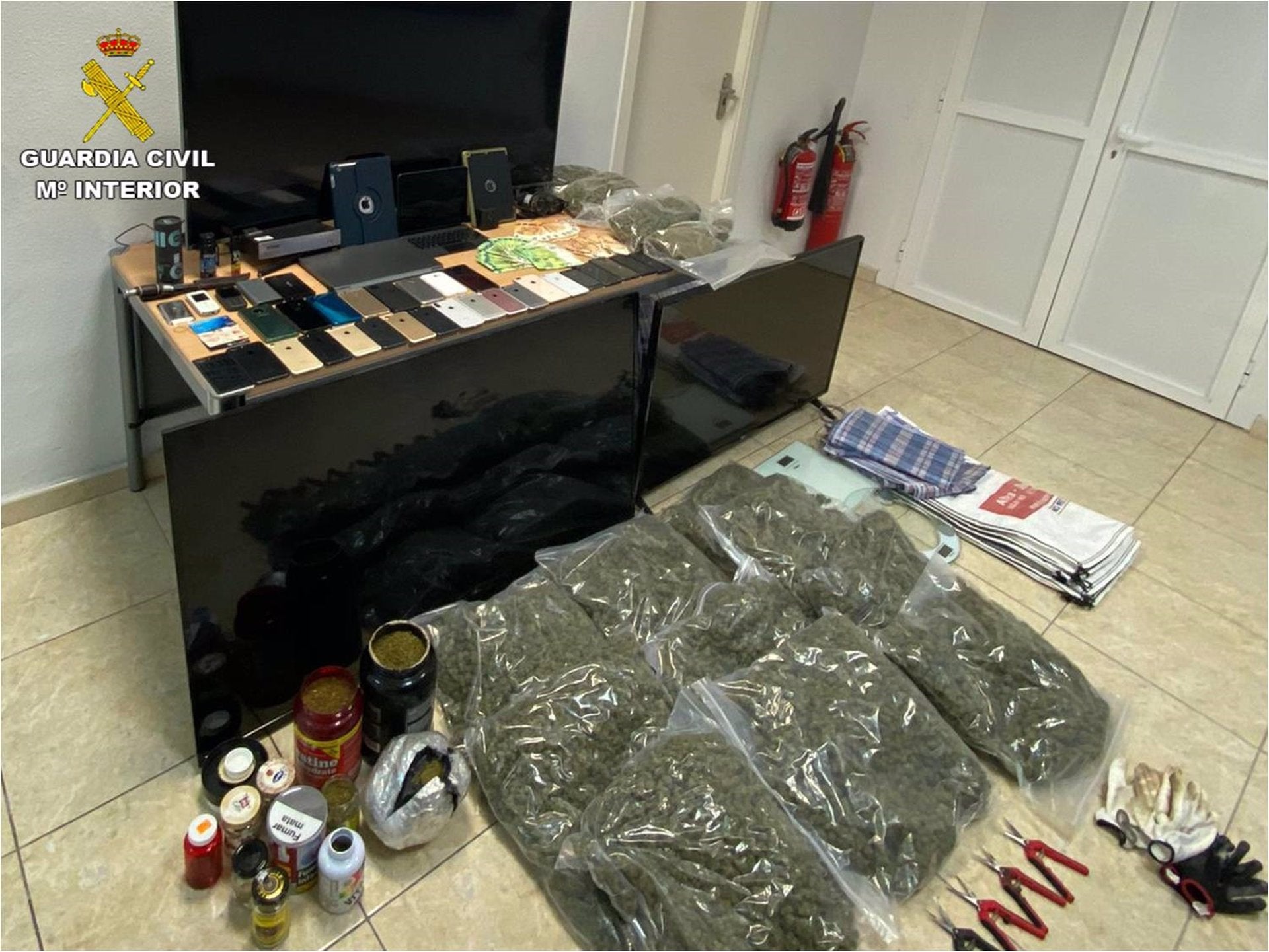 Seis detenidos por cultivo de marihuana en tres municipios de Alicante Seis detenidos por cultivo de marihuana en tres municipios de Alicante