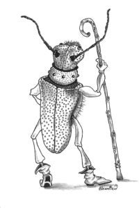 Los incómodos insectos del verano Los incómodos insectos del verano