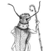 Exposición insectos Ataria