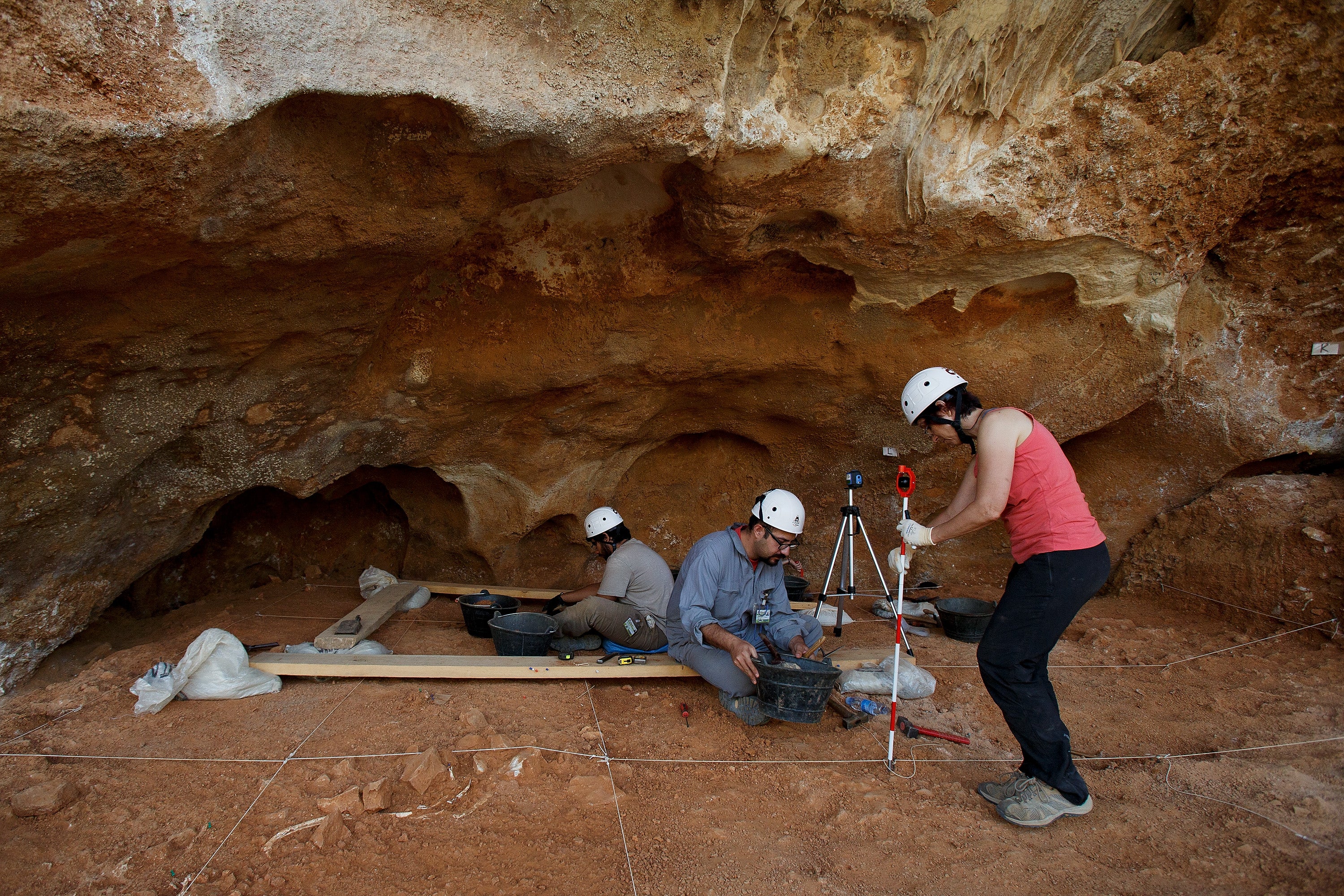Juan Luis Arsuaga: "Por primera vez, hemos descubierto ADN nuclear de neandertales a partir de sedimentos" Juan Luis Arsuaga: "Por primera vez, hemos descubierto ADN nuclear de neandertales a partir de sedimentos"