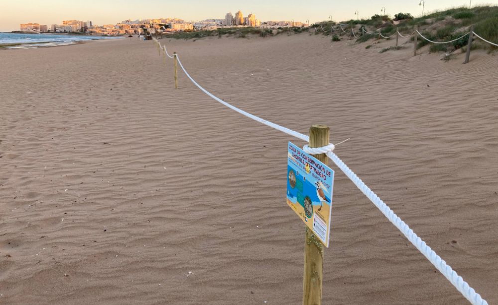 La playa de La Mata, con el parque del agua y sus banderas azules debe disponer de programas activos de conservación de la biodiversidad La playa de La Mata, con el parque del agua y sus banderas azules debe disponer de programas activos de conservación de la biodiversidad