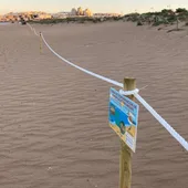La playa de La Mata, con el parque del agua y sus banderas azules debe disponer de programas activos de conservación de la biodiversidad La playa de La Mata, con el parque del agua y sus banderas azules debe disponer de programas activos de conservación de la biodiversidad