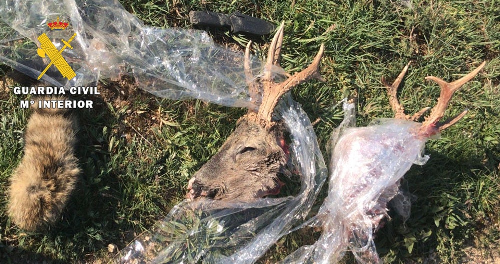 "Es agotador tener que hablar cada fin de semana de la misma noticia infinita" "Es agotador tener que hablar cada fin de semana de la misma noticia infinita"