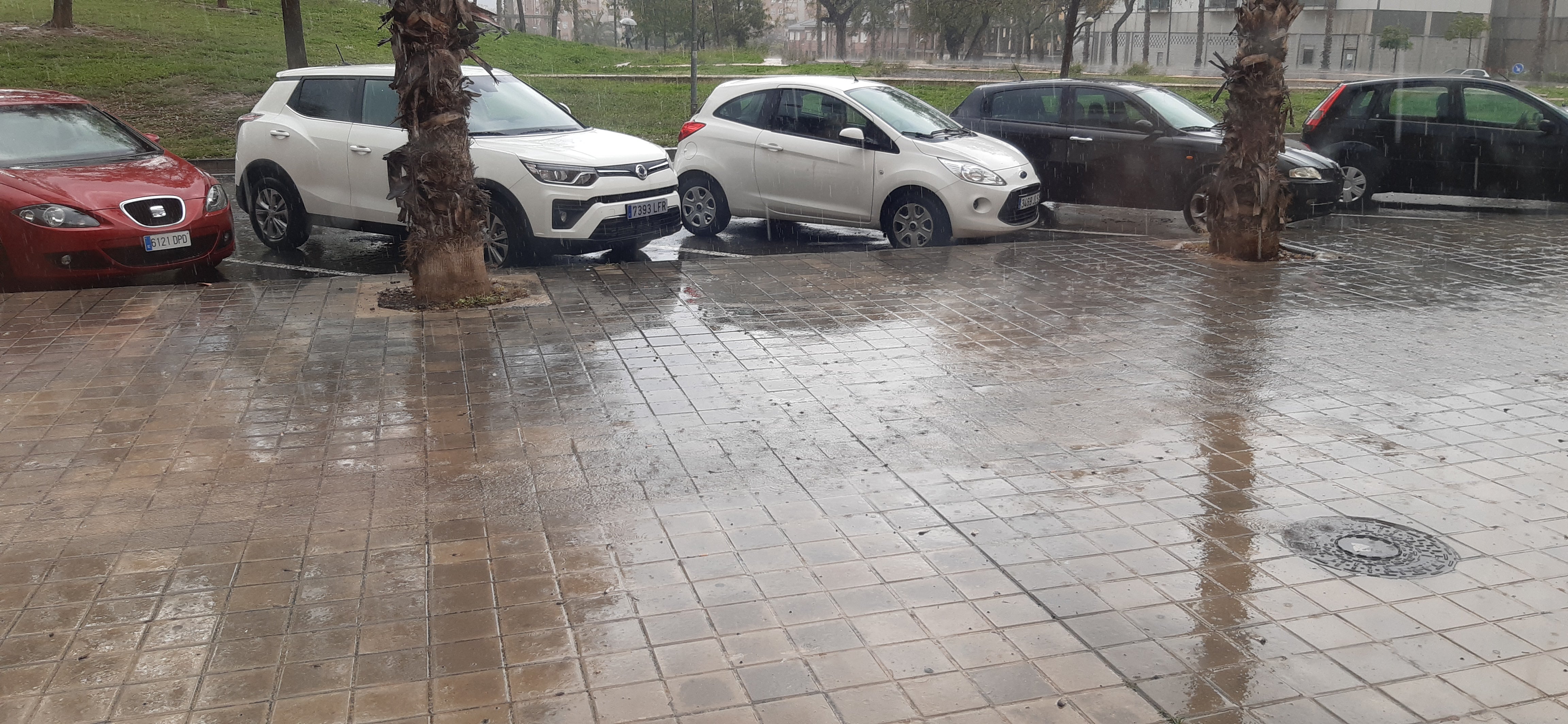 Alicante recoge 53,8 litros por metro cuadrado y es la segunda cantidad más alta en 24 horas en un mes de mayo desde 1900 Alicante recoge 53,8 litros por metro cuadrado y es la segunda cantidad más alta en 24 horas en un mes de mayo desde 1900