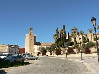 El PSOE de Badajoz critica que el desbroce y limpieza de laderas de la Alcazaba se ha hecho sin seguimiento arqueológico El PSOE de Badajoz critica que el desbroce y limpieza de laderas de la Alcazaba se ha hecho sin seguimiento arqueológico