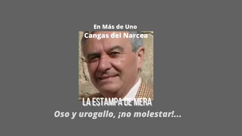 La Estampa de Mera La Estampa de Mera