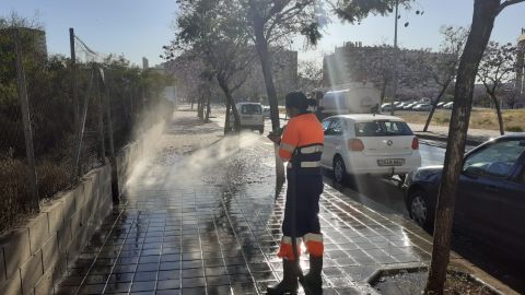 Servicio de baldeo exclusivo contra la suciedad de los árboles 