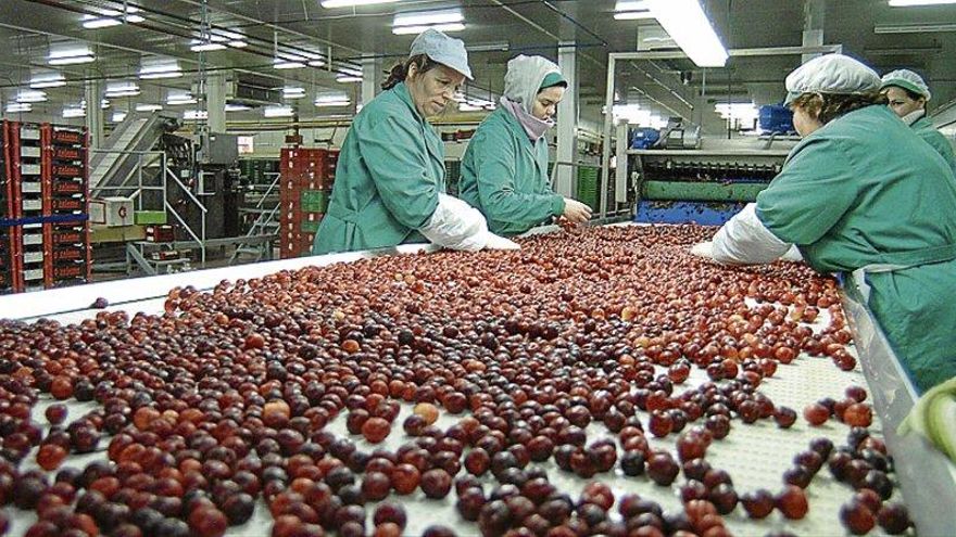 Los beneficios de Cooperativas Agroalimentarias Extremadura sube más de un 4% Los beneficios de Cooperativas Agroalimentarias Extremadura sube más de un 4%