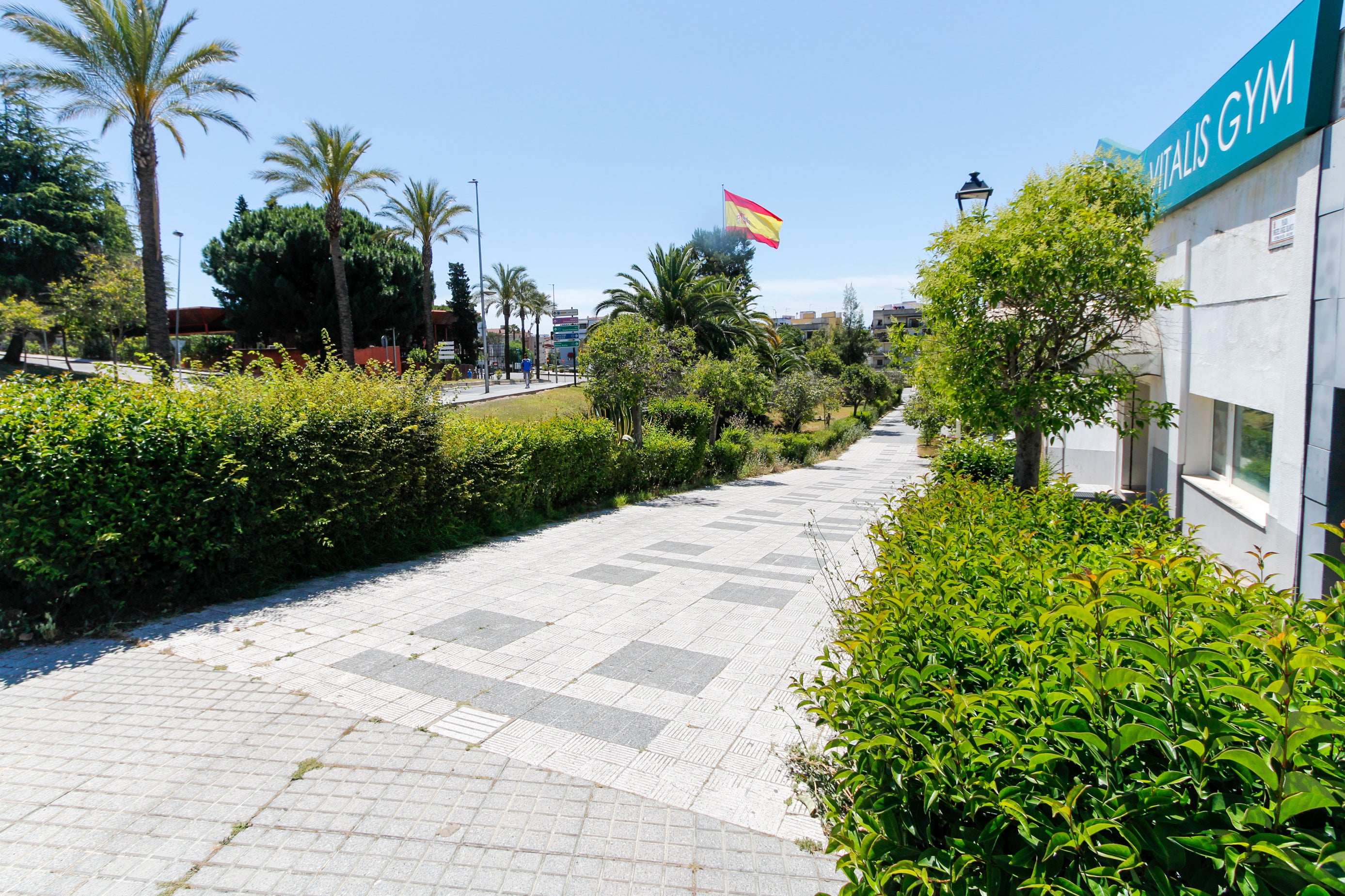 Se van a mejorar las zonas verdes de diversos puntos de la ciudad. Se van a mejorar las zonas verdes de diversos puntos de la ciudad.