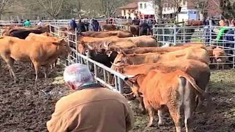 Imagen de archivo de la feria Imagen de archivo de la feria