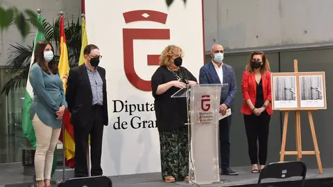 Pozo de Plata Diputación provincial