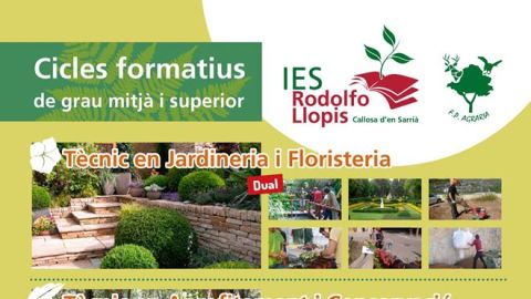 Ciclos formativos del IES Rodolfo Llopis
