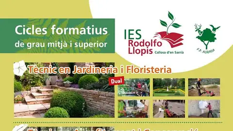 Ciclos formativos del IES Rodolfo Llopis Ciclos formativos del IES Rodolfo Llopis