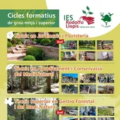 Ciclos formativos del IES Rodolfo Llopis Ciclos formativos del IES Rodolfo Llopis