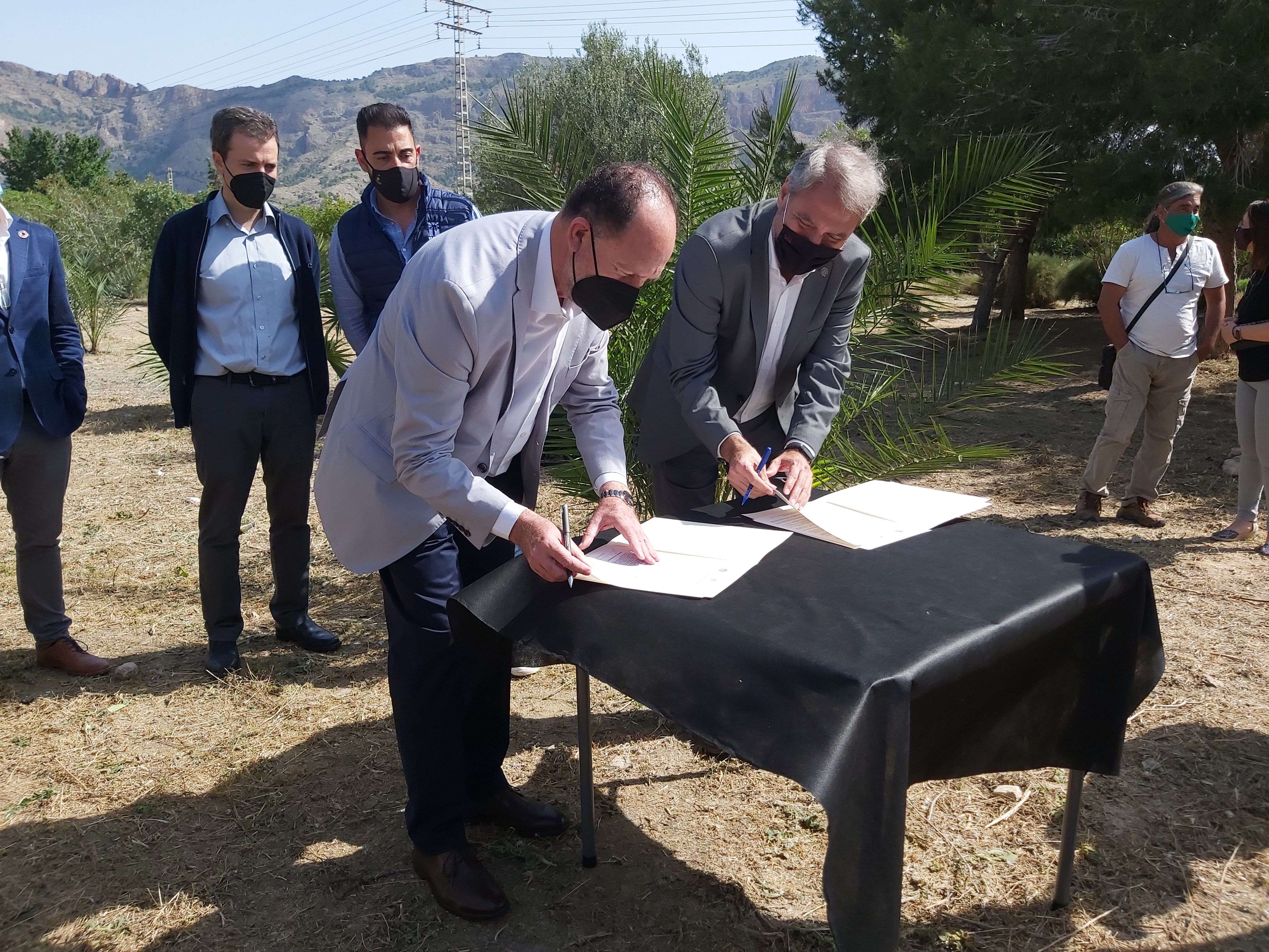 A raíz del convenio suscrito en 2013 entre la UMH y el Ayuntamiento de Orihuela, se inauguró en 2018 el Jardín de palmeras datileras del género Phoenix “Palmetum” A raíz del convenio suscrito en 2013 entre la UMH y el Ayuntamiento de Orihuela, se inauguró en 2018 el Jardín de palmeras datileras del género Phoenix “Palmetum”