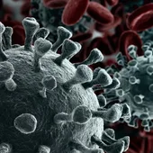 Coronavirus. Coronavirus.