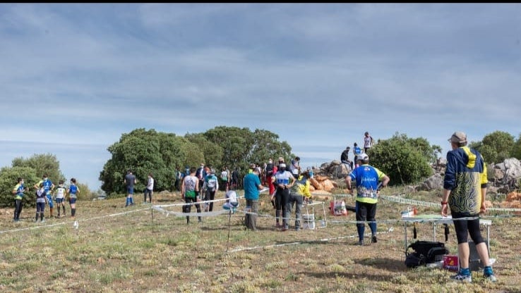 Quintanar acogió la 3ª prueba de la Liga C-LM de Orientación Quintanar acogió la 3ª prueba de la Liga C-LM de Orientación