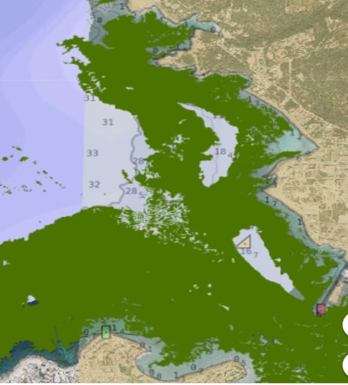 Salvem Sa Badia denuncia que atuneros foráneos faenan en aguas pitiusas fondeando sobre posidonia Salvem Sa Badia denuncia que atuneros foráneos faenan en aguas pitiusas fondeando sobre posidonia