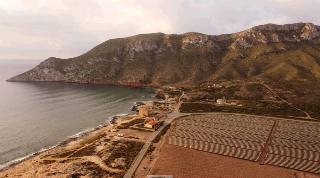 ANSE presenta recurso judicial por el retracto de Cabo Cope ANSE presenta recurso judicial por el retracto de Cabo Cope