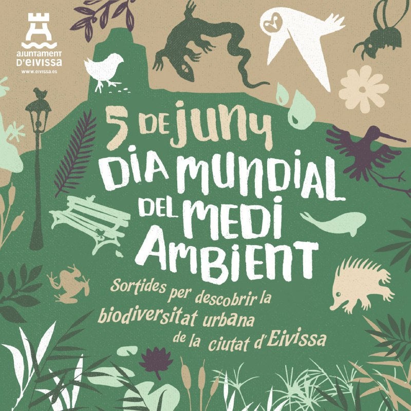 Salidas guiadas y un taller sobre Posidonia para celebrar el Día Mundial del Medio Ambiente en Ibiza Salidas guiadas y un taller sobre Posidonia para celebrar el Día Mundial del Medio Ambiente en Ibiza