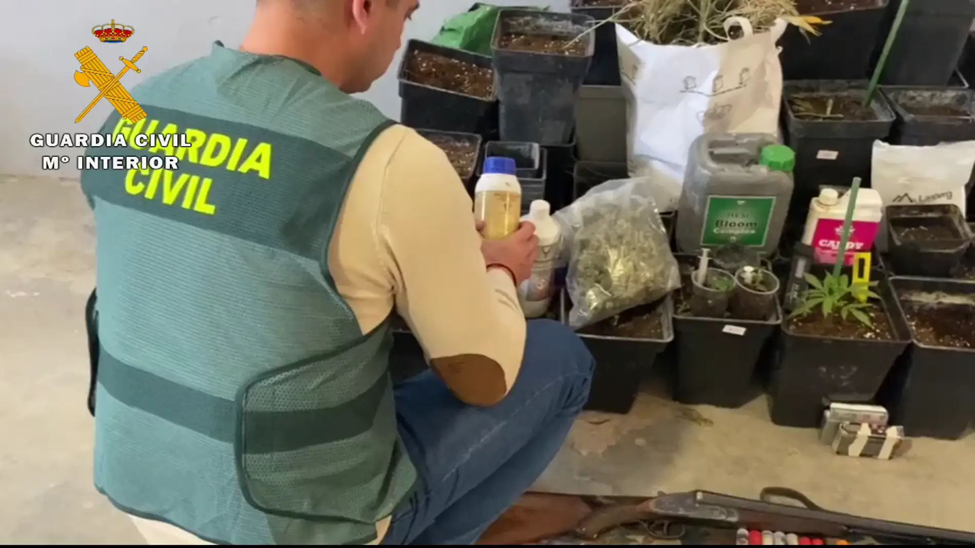 Desmantelado un cultivo 'indoor' de marihuana en la provincia 
