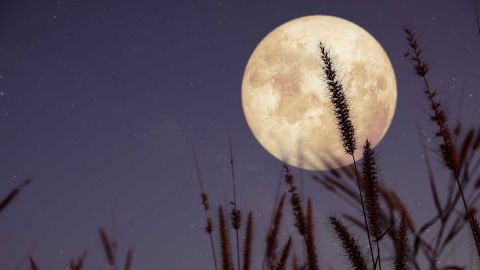 Superluna de las Flores Superluna de las Flores