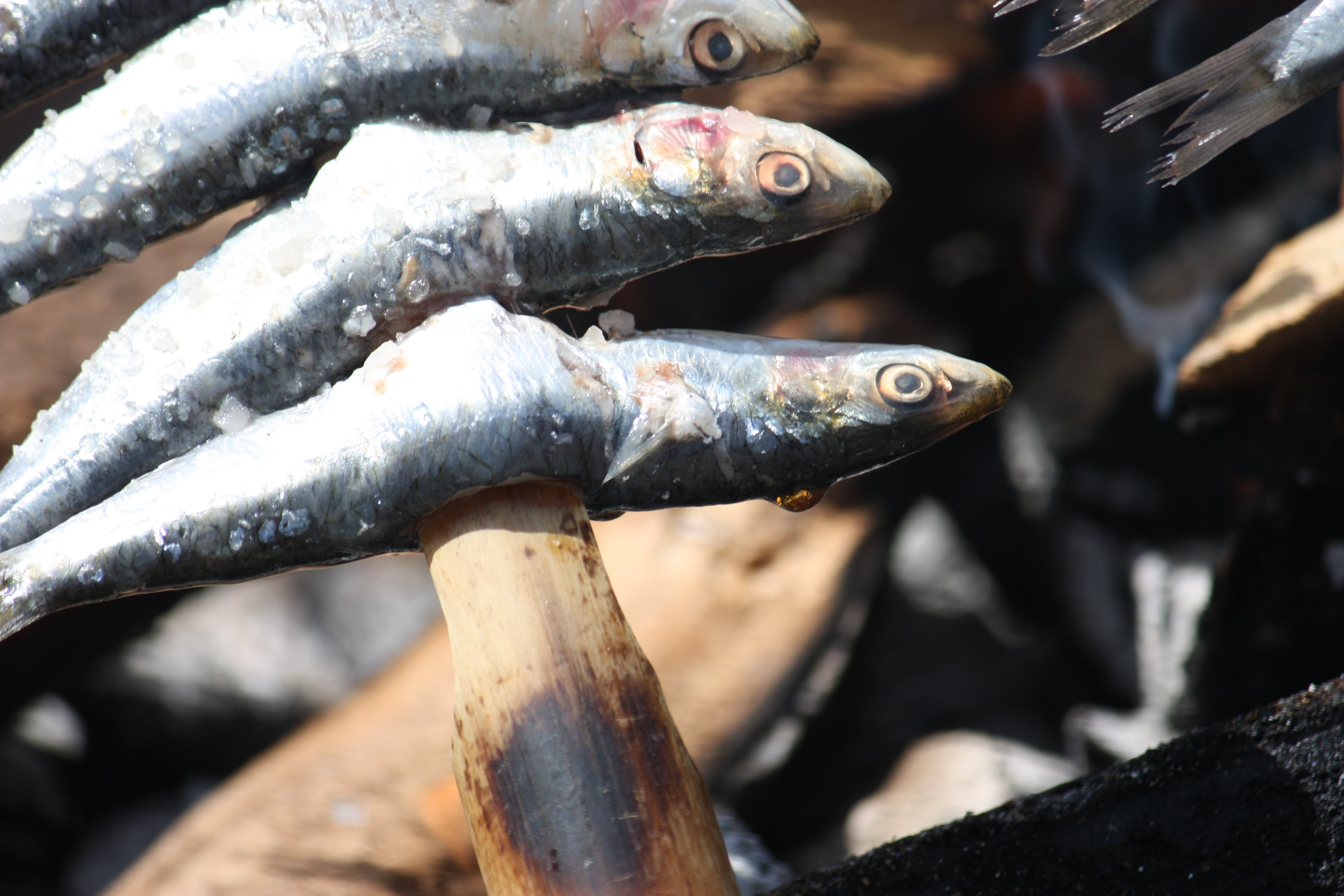 Baja el precio de las sardinas en un San Juan sin hogueras Baja el precio de las sardinas en un San Juan sin hogueras