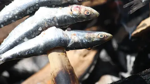 Espeto sardinas Espeto sardinas