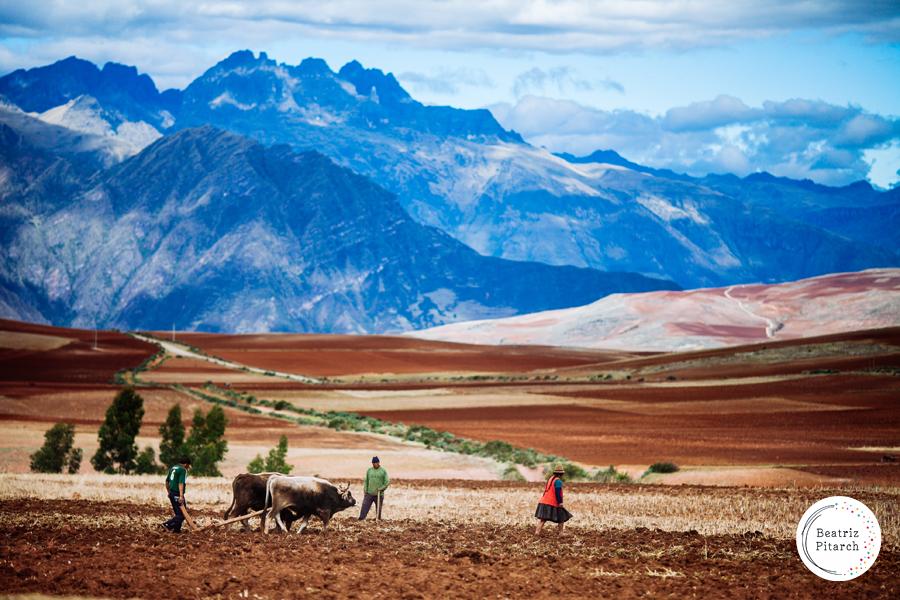 ¿Es seguro viajar a Perú? Nuestra experta en viajes nos cuenta las dudas de los castellonenses que quieren viajar allí ¿Es seguro viajar a Perú? Nuestra experta en viajes nos cuenta las dudas de los castellonenses que quieren viajar allí