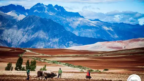 Trabajando las tierras peruanas Trabajando las tierras peruanas
