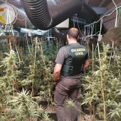 La Guardia Civil desmantela una plantación indoor de marihuana en una nave industrial