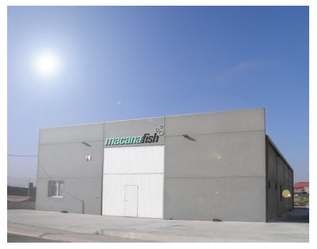 La conservera de Sarrión contratará diez trabajadores más La conservera de Sarrión contratará diez trabajadores más